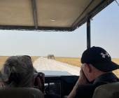 Botswana & Namibia: Delta & Dunes