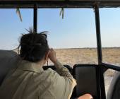 Botswana & Namibia: Delta & Dunes