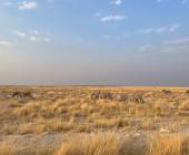 Botswana & Namibia: Delta & Dunes
