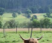 Classic Scotland: Edinburgh to the Highlands