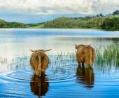 Classic Scotland: Edinburgh to the Highlands