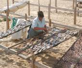 Coimbra to Lisbon Cycling