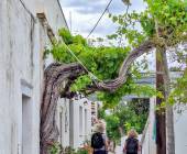Walking on the Greek Islands