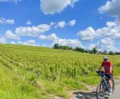 Cycle the Loire Valley