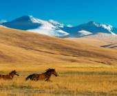 The Five Stans of the Silk Road – Ashgabat to Almaty