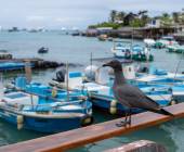Galapagos Walking Adventure