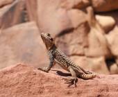 Kingdoms of Jordan – Premium Adventure