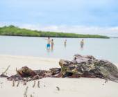 Galapagos Walking Adventure