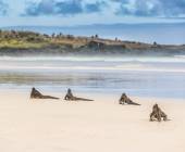 Galapagos Walking Adventure