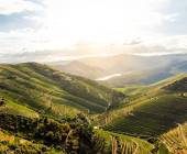 Discover Northern Portugal – Premium Adventure