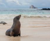 Galapagos Walking Adventure