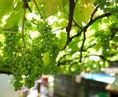 Discover Northern Portugal – Premium Adventure