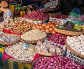 Best of Vietnam – Premium Family Adventure