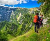 Carpathian Walking & Bears