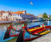 Discover Northern Portugal – Premium Adventure