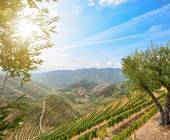 Discover Northern Portugal – Premium Adventure