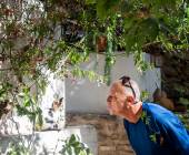 Walking on the Greek Islands