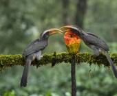 Discover South India – Premium Adventure