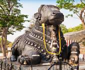 Discover South India – Premium Adventure