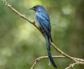 Discover South India – Premium Adventure