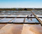 Discover Northern Portugal – Premium Adventure