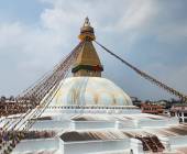 Annapurna to Chitwan: Walks & Wildlife