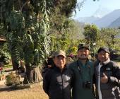 Annapurna to Chitwan: Walks & Wildlife