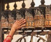 Annapurna to Chitwan: Walks & Wildlife