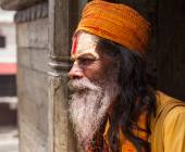 Annapurna to Chitwan: Walks & Wildlife