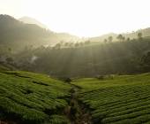 Discover South India – Premium Adventure