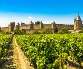 Carcassonne vineyards