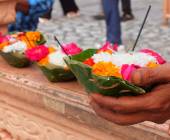 Foothills of the Himalaya