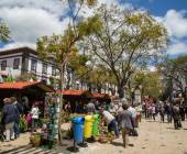 Madeira Discovery – Premium Adventure