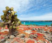 Machu Picchu & Galapagos