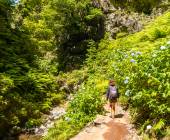 Madeira Discovery – Premium Adventure