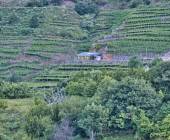 Madeira Discovery – Premium Adventure