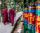 Foothills of the Himalaya