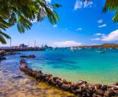 Highlights of Ecuador & the Galapagos