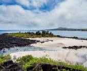 Highlights of Ecuador & the Galapagos