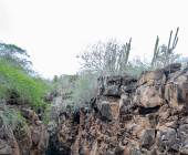 Highlights of Ecuador & the Galapagos