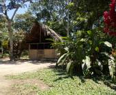 Highlights of Ecuador & the Galapagos