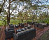 Kenya Safari Adventure