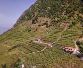 Madeira Discovery – Premium Adventure