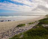 Highlights of Ecuador & the Galapagos