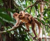 Highlights of Ecuador & the Galapagos