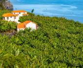 Madeira Discovery – Premium Adventure