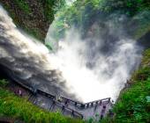 Highlights of Ecuador & the Galapagos