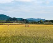 Discover South Korea