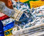 Morocco: Mountains, Desert & Coast