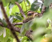 Discover Costa Rica – Coastal Edition